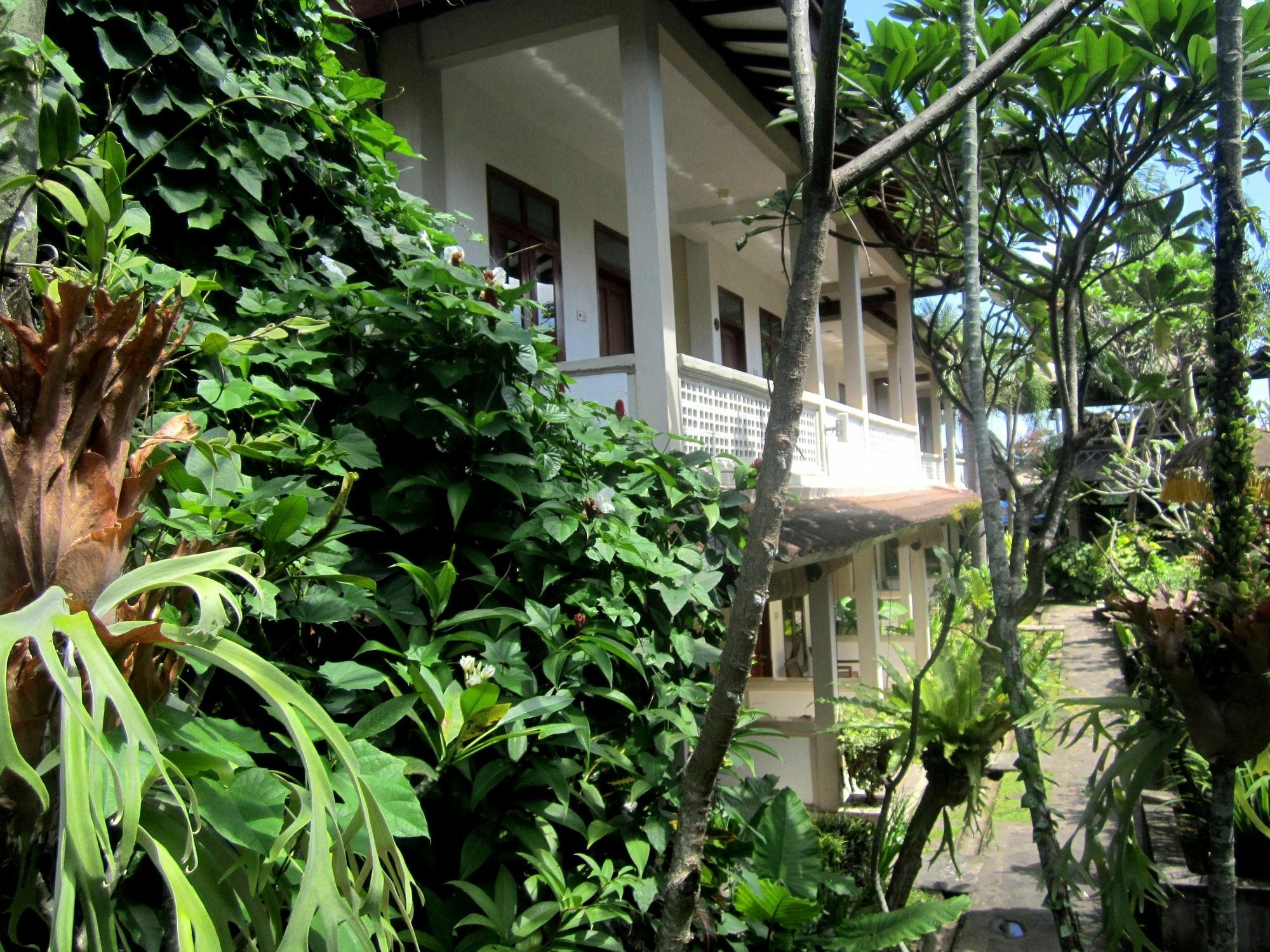 Casa Ganesha Hotel Ubud Exterior foto